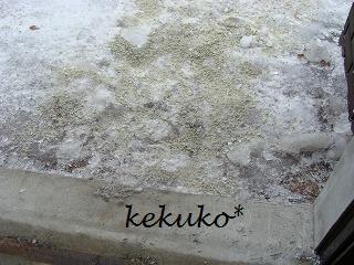 f0170524_14325491.jpg