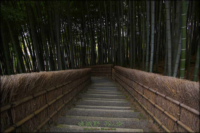 嵯峨野 写ん歩 （その２） 【化野念仏寺（あだしの念仏寺）】_e0150228_18102733.jpg