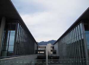 d0017632_21445059.jpg