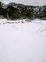 ∵シロノセカイ_d0040733_1924112.jpg