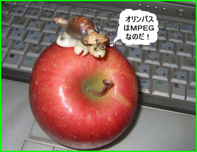 c0004734_12413221.jpg