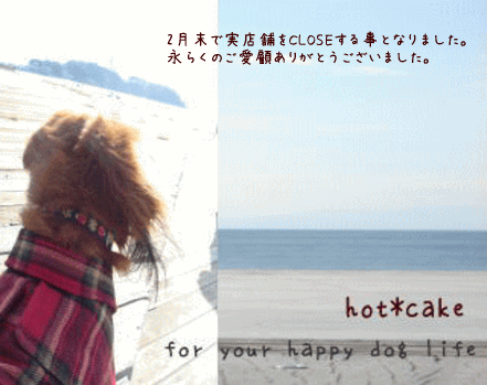 c0016745_16463752.gif