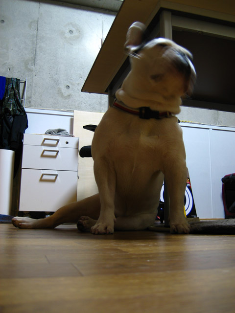 c0112152_10475779.jpg
