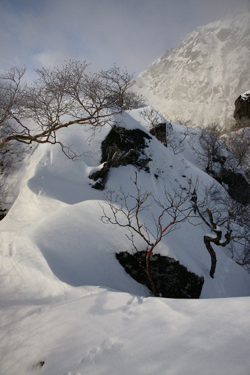 甲斐駒ラッセル　1泊2日　2日目-2_f0016656_20421748.jpg