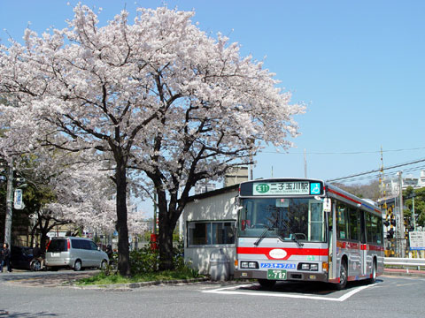 【さくらの風景】2003年春_c0130964_1049144.jpg