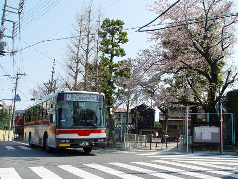【さくらの風景】2003年春_c0130964_10525251.jpg