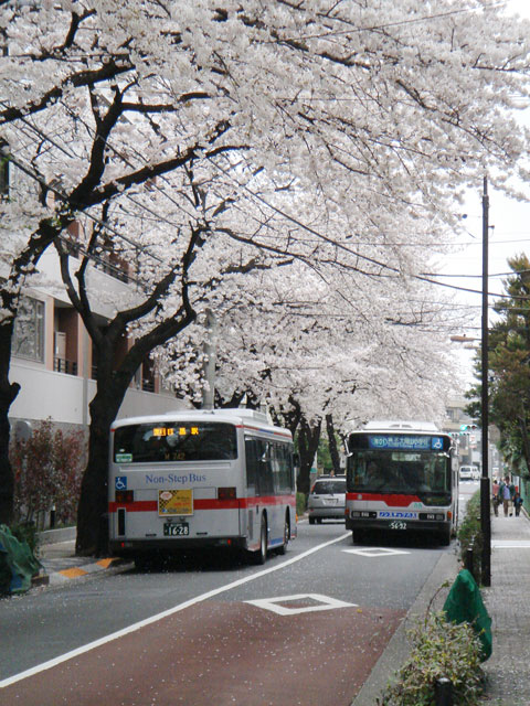 【さくらの風景】2007年春_c0130964_1140399.jpg