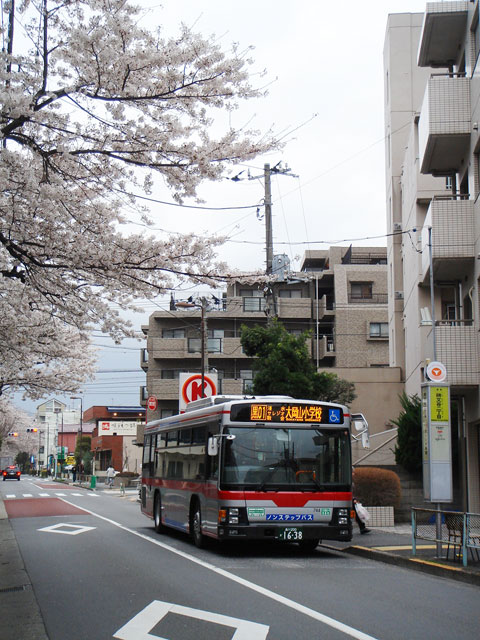 【さくらの風景】2007年春_c0130964_11425988.jpg