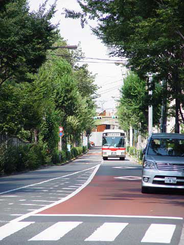 【緑のある風景】_c0130964_20294160.jpg