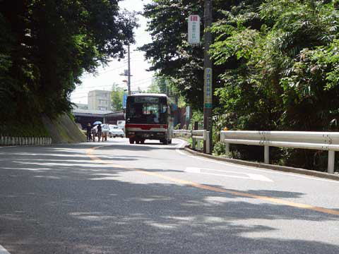 【緑のある風景】_c0130964_20323370.jpg