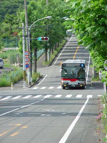 【緑のある風景】_c0130964_20384721.jpg