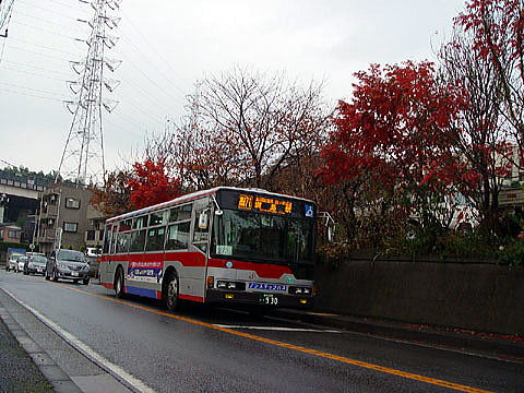 【秋の木々の風景】_c0130964_2056556.jpg