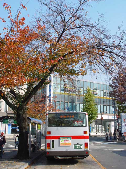 【秋の木々の風景】_c0130964_2123268.jpg