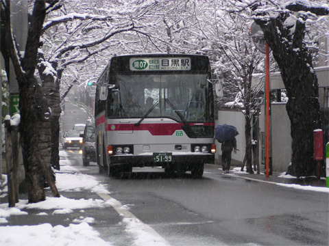【雪の日の風景】その2_c0130964_2144310.jpg