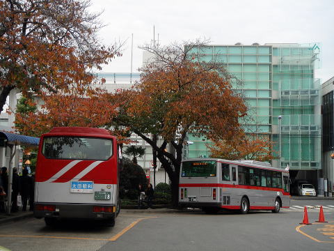 【秋の木々の風景】_c0130964_2173493.jpg