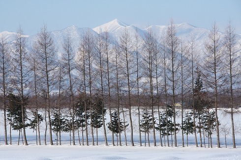 大真面目とは_f0048266_17535274.jpg