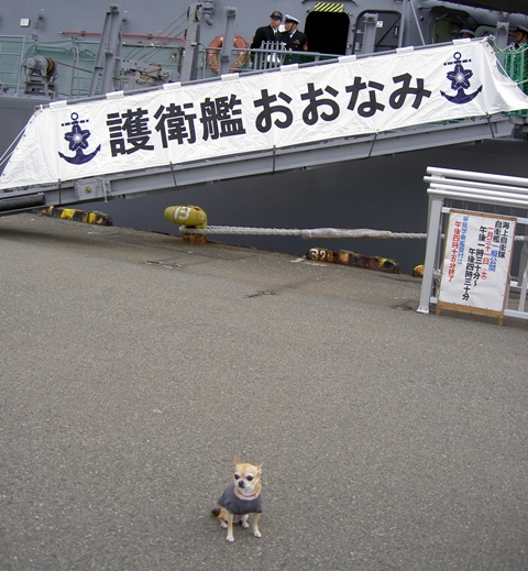 f0121480_22484868.jpg