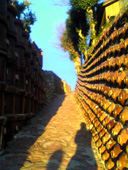 e0060483_21132100.jpg