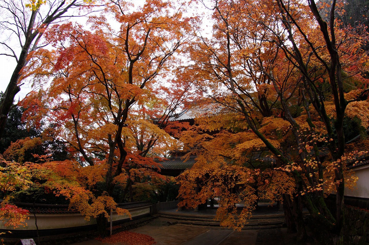 2008永源寺の紅葉４_f0034583_176302.jpg