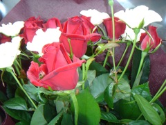 2009年1月31日 1月は今日で終わり。。。か _b0098584_21343623.jpg