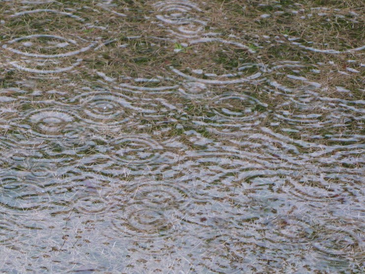 雨の土曜日_d0047885_17331166.jpg