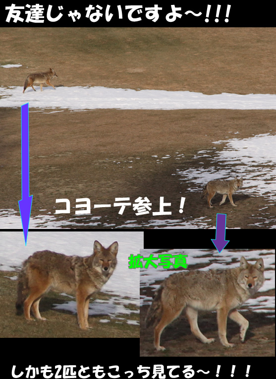 c0164491_62647.jpg