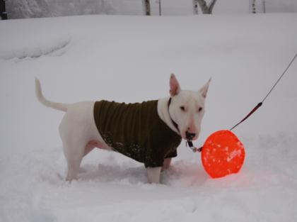 女神湖で雪遊び_a0090292_212427.jpg