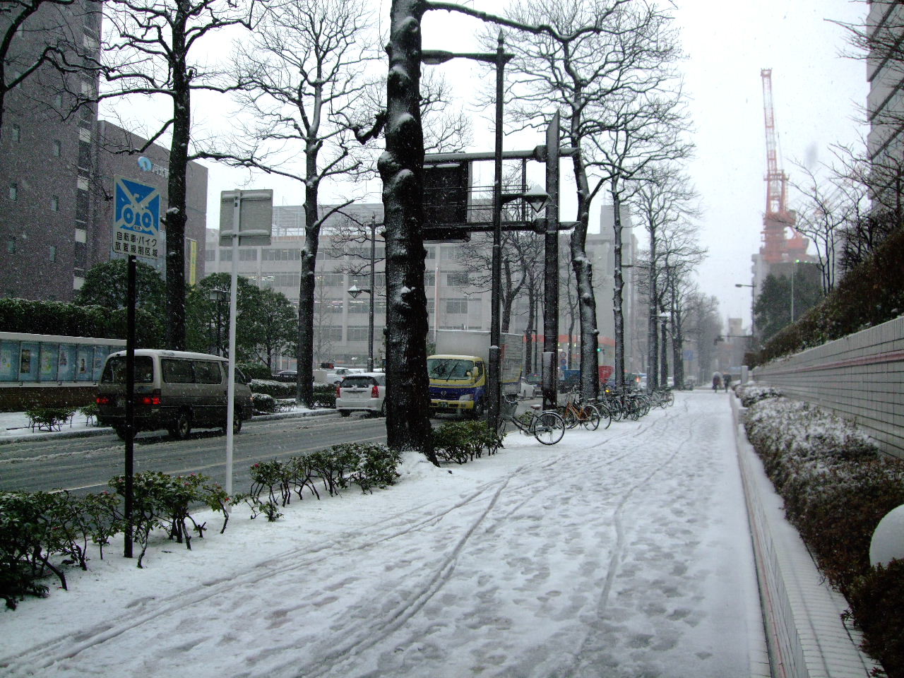 昼下がりの雪_f0100593_15594633.jpg