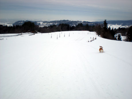 f0164499_19521115.jpg