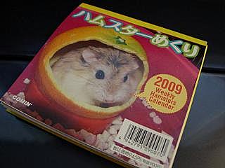 ありがとう！（Grazie!）_d0006400_0395977.jpg