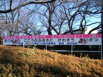f0120102_21295748.jpg