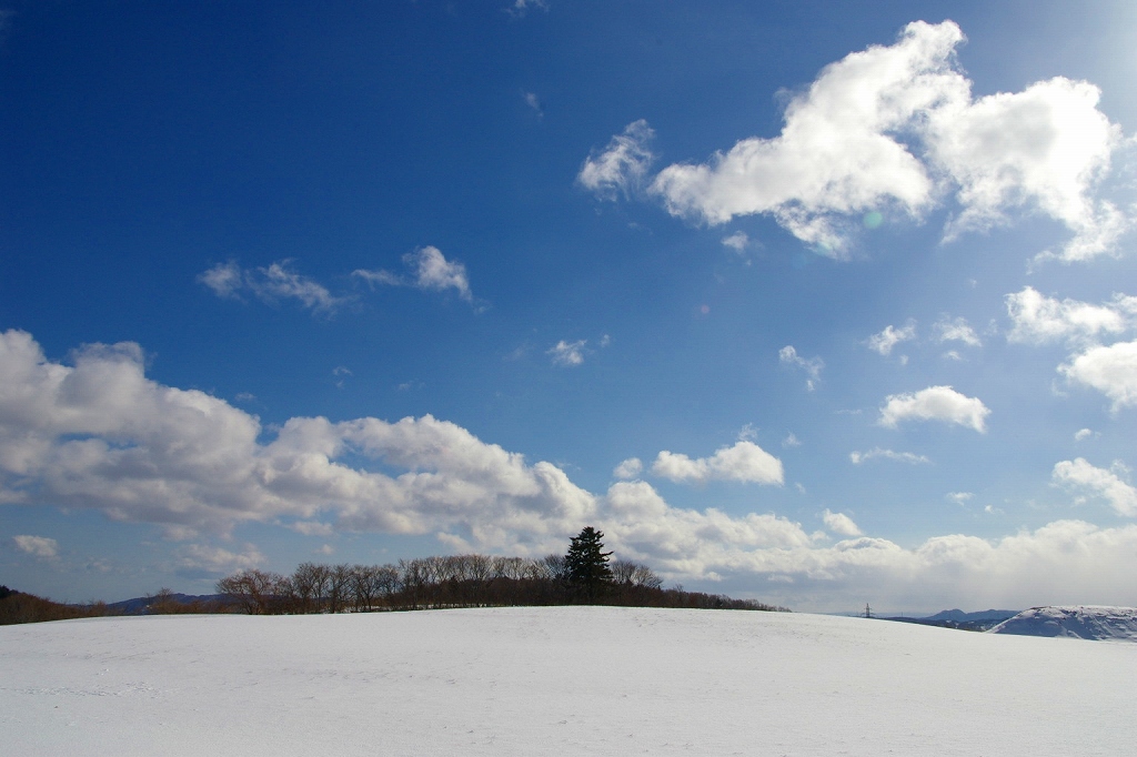 真冬の山探シリーズ再開_b0050305_17383523.jpg