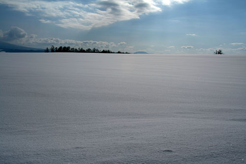 c0047115_17193242.jpg