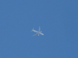 e0018920_19354119.jpg
