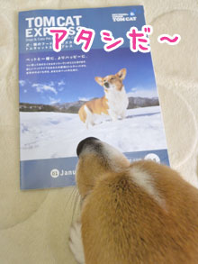 モモが表紙に!_d0102523_153147.jpg