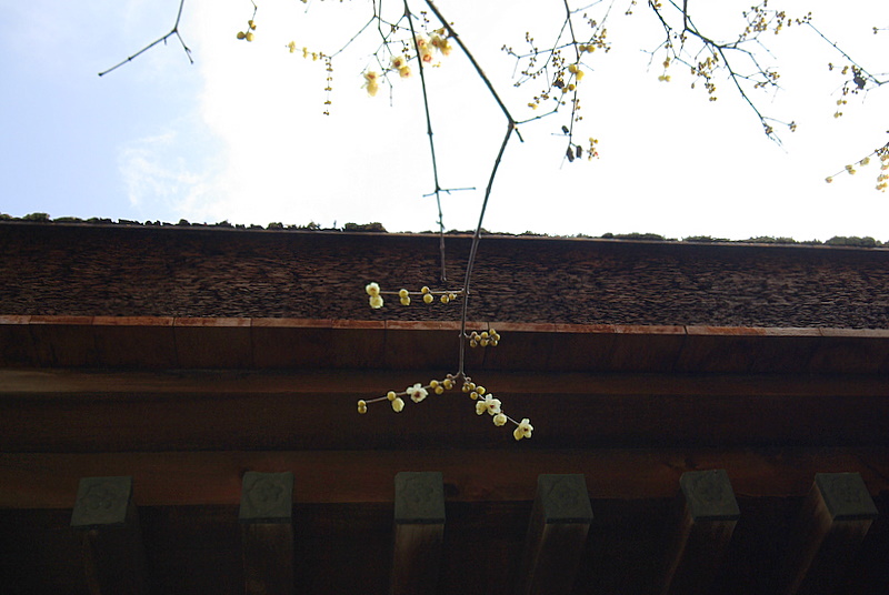 c0195327_14225152.jpg