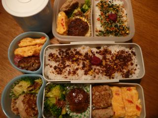 最近のお弁当_b0044528_20442524.jpg