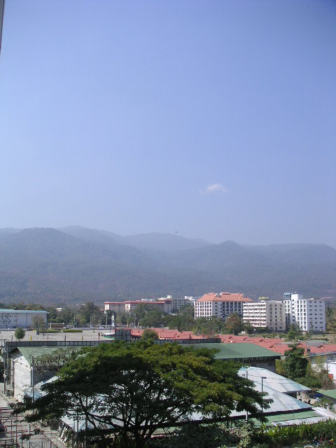 c0127933_20726.jpg