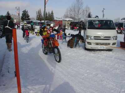 d0111435_15335086.jpg