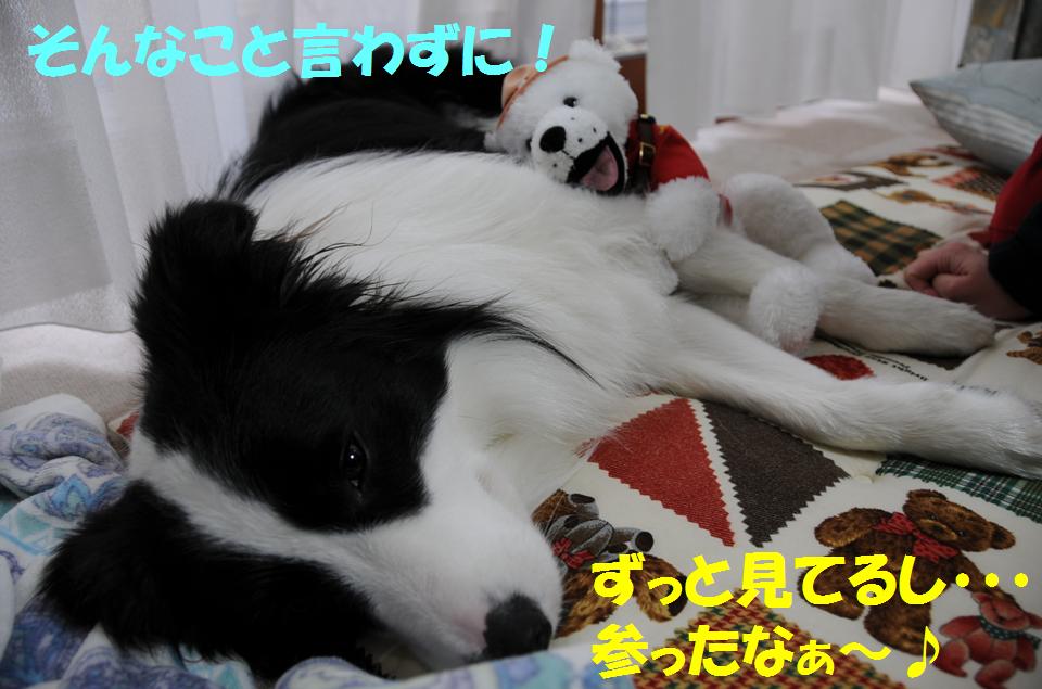 c0147241_2158266.jpg