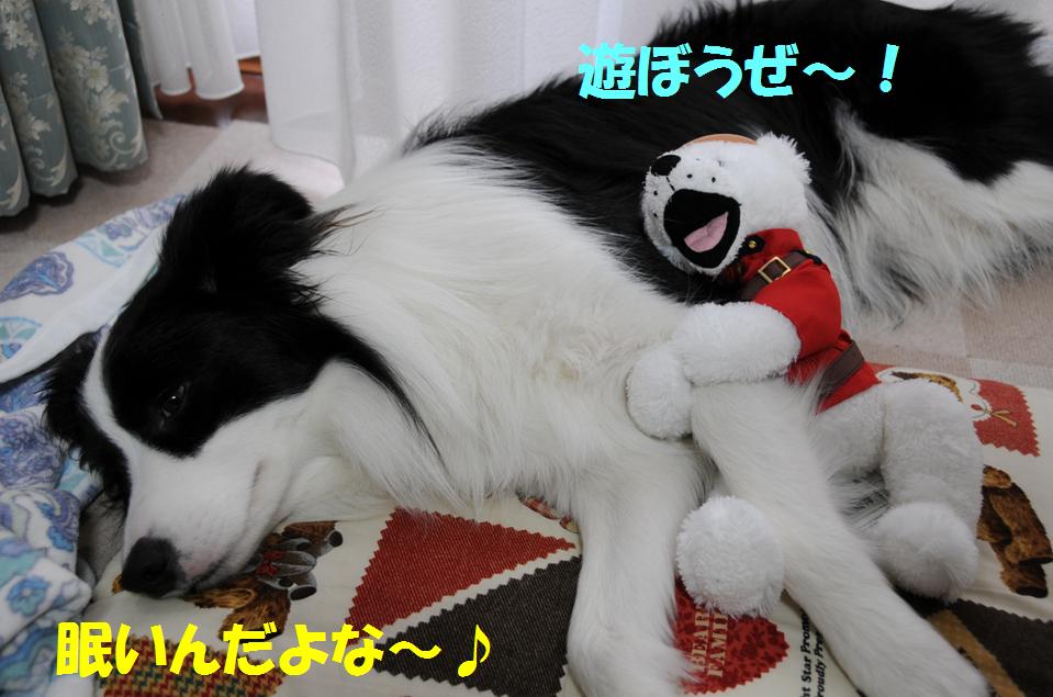 c0147241_2158611.jpg
