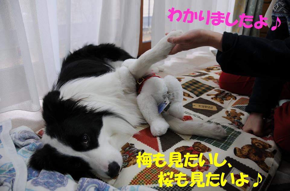 c0147241_2159231.jpg