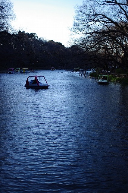 大口径レンズ（Sigma 30mm F1.4）で井の頭公園を撮る_a0009142_18463153.jpg