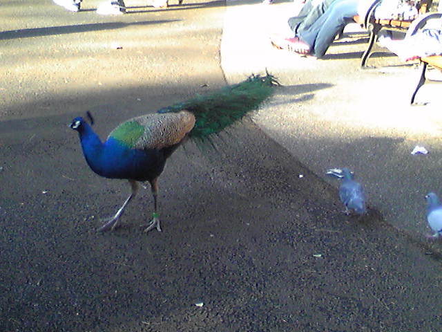 e0087443_2275812.jpg