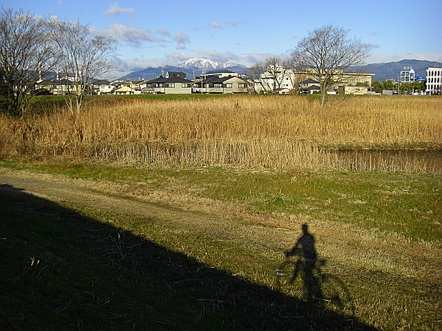 b0088444_22432897.jpg