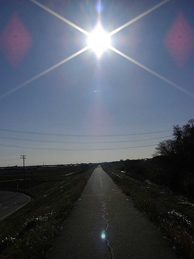 b0088444_2251796.jpg