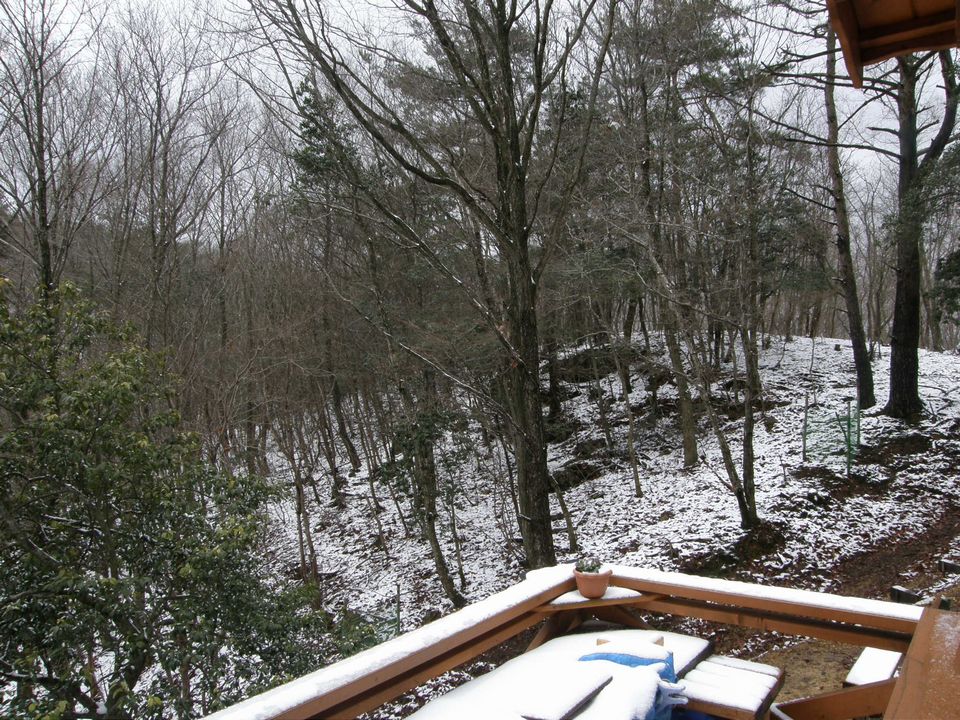 f0090444_210331.jpg