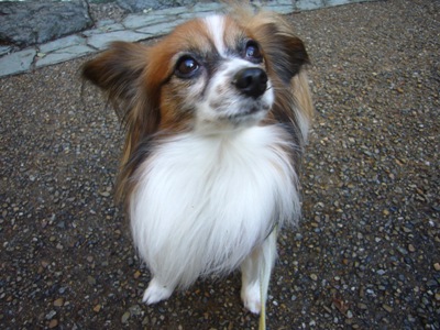 e0100046_2012467.jpg
