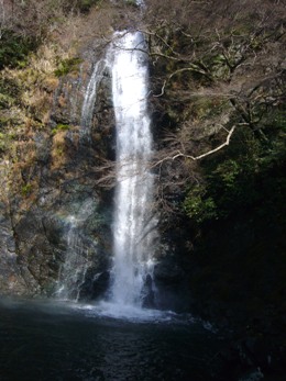 e0100046_2041154.jpg
