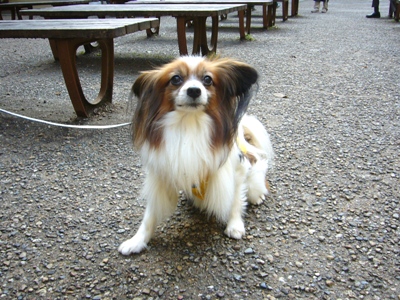 e0100046_2061459.jpg